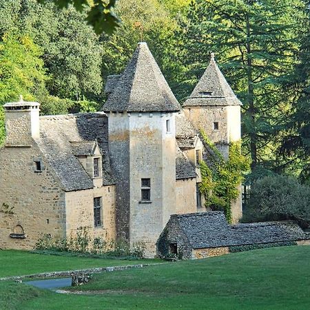 Logement D'Exception Dans Le Chateau De Lacypierre Saint-Crépin-et-Carlucet Exterior foto